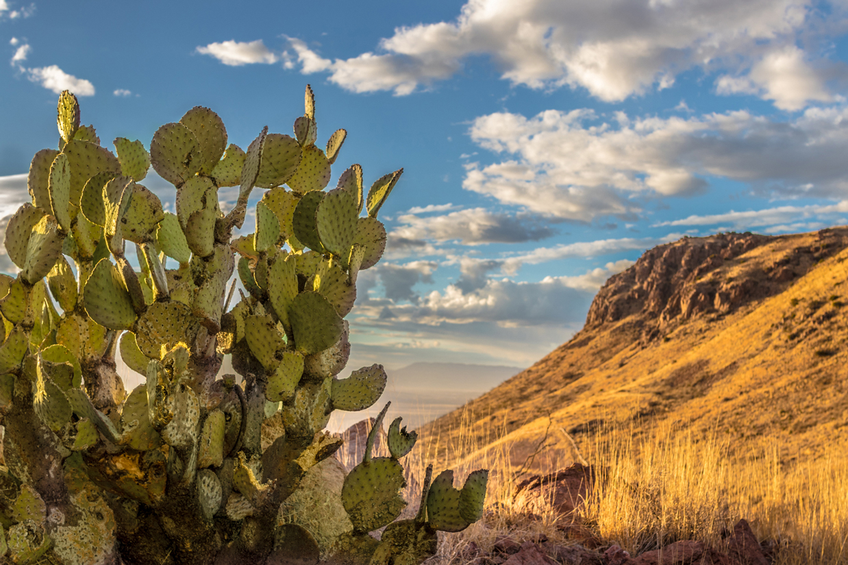 Casas Grandes landscape 2