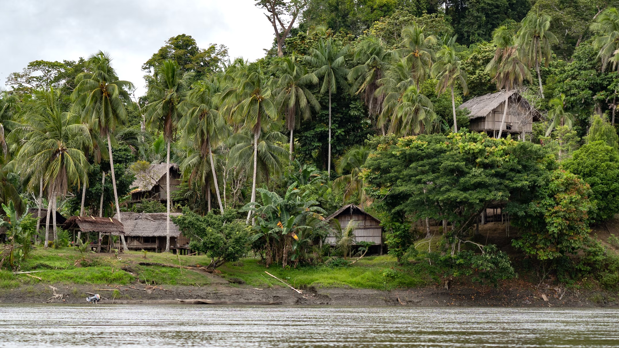 Sepik River Landscape and Village Sepik River Landscape and Village