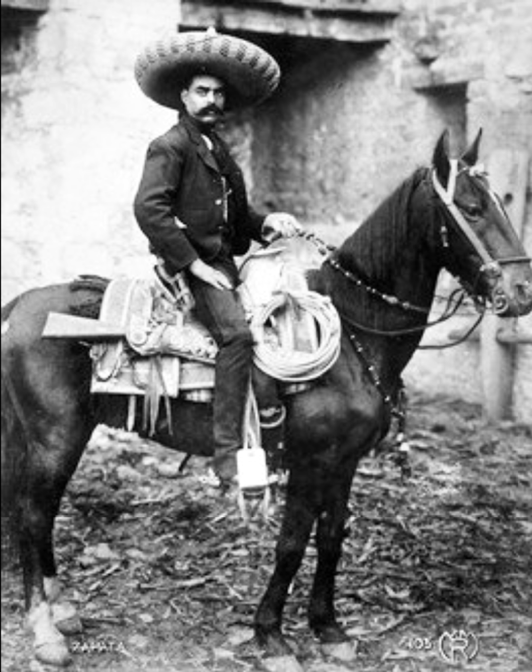 ZAPATA