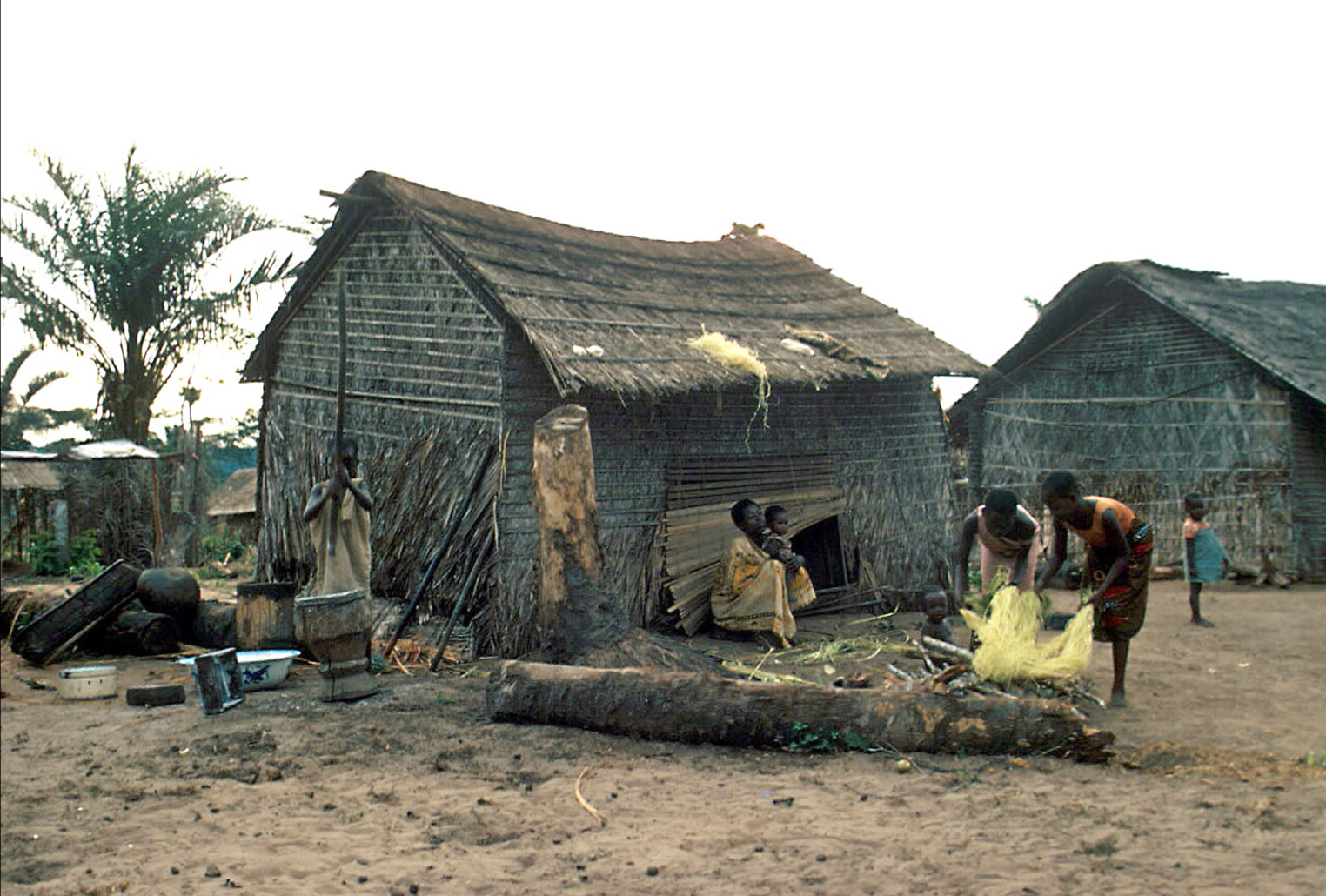 Kuba Women preparing raffia