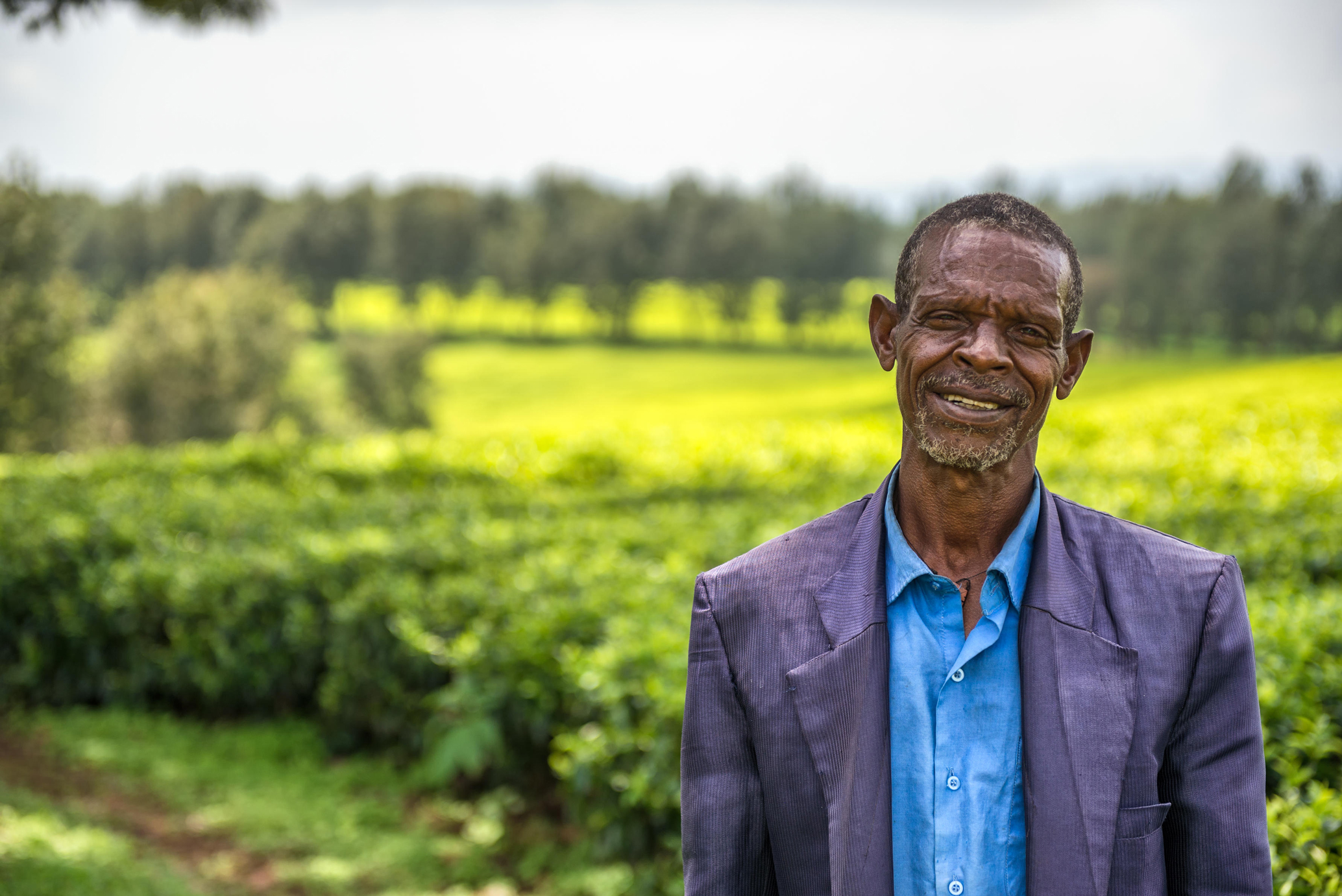 Oromo Farmer on a Tea Plantation Oromo Farmer on a Tea Plantation