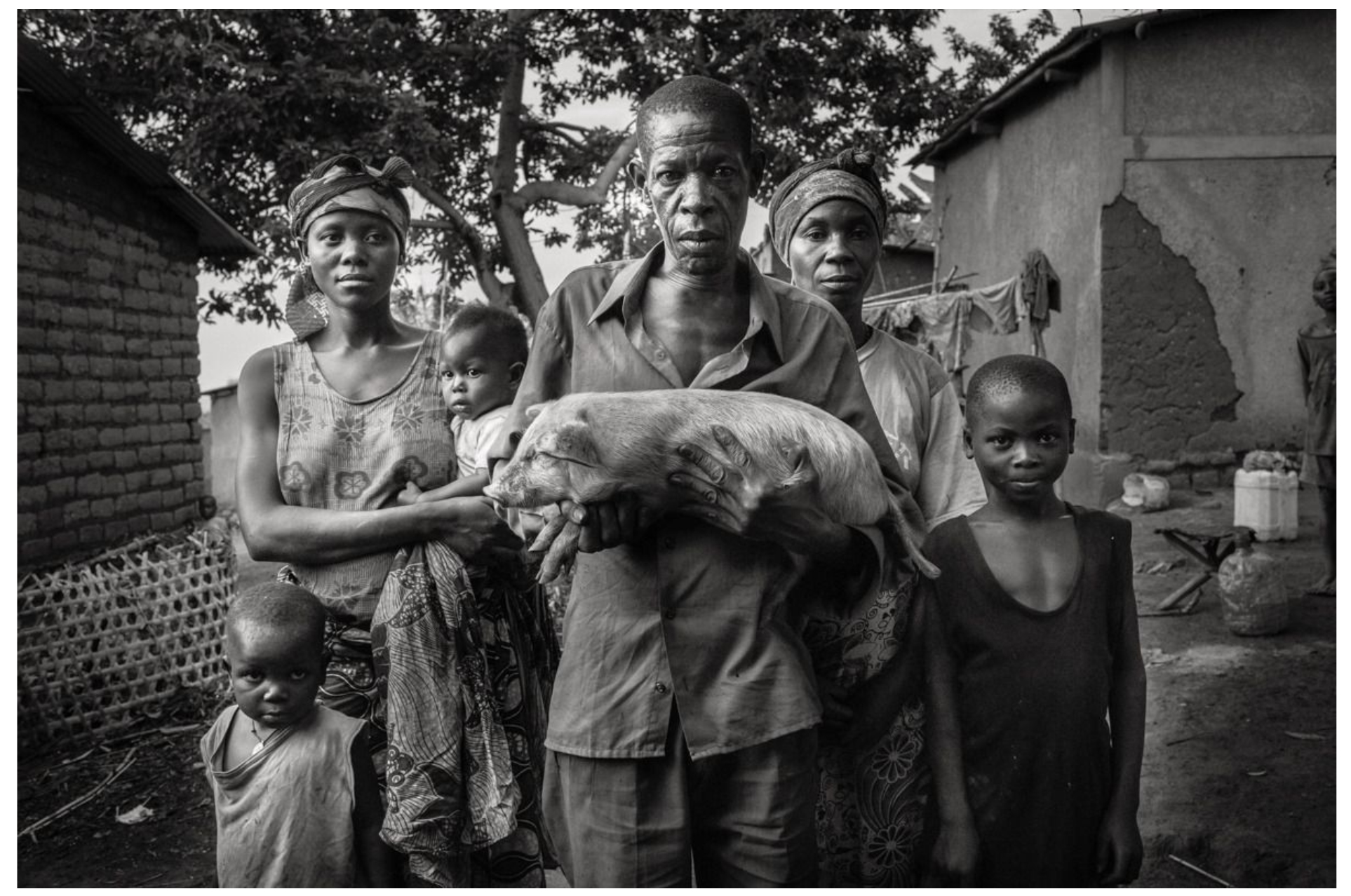 This is a photo from the Ubuntu series, “I am because you are,” by Brazilian photographer André François. Through the International Fund for Agricultural Development (IFAD) in Burundi, people started a chain of solidarity to fight poverty and hunger. The idea is simple: people in a community receive pigs, and once they have piglets, they donate them to others in the same community. Bujumbura, Burundi.. This is a photo from the Ubuntu series, "I am because you are," by Brazilian photographer André François. Through the International Fund for Agricultural Development (IFAD) in Burundi, people started a chain of solidarity to fight poverty and hunger. The idea is simple: people in a community receive pigs, and once they have piglets, they donate them to others in the same community. Bujumbura, Burundi.
