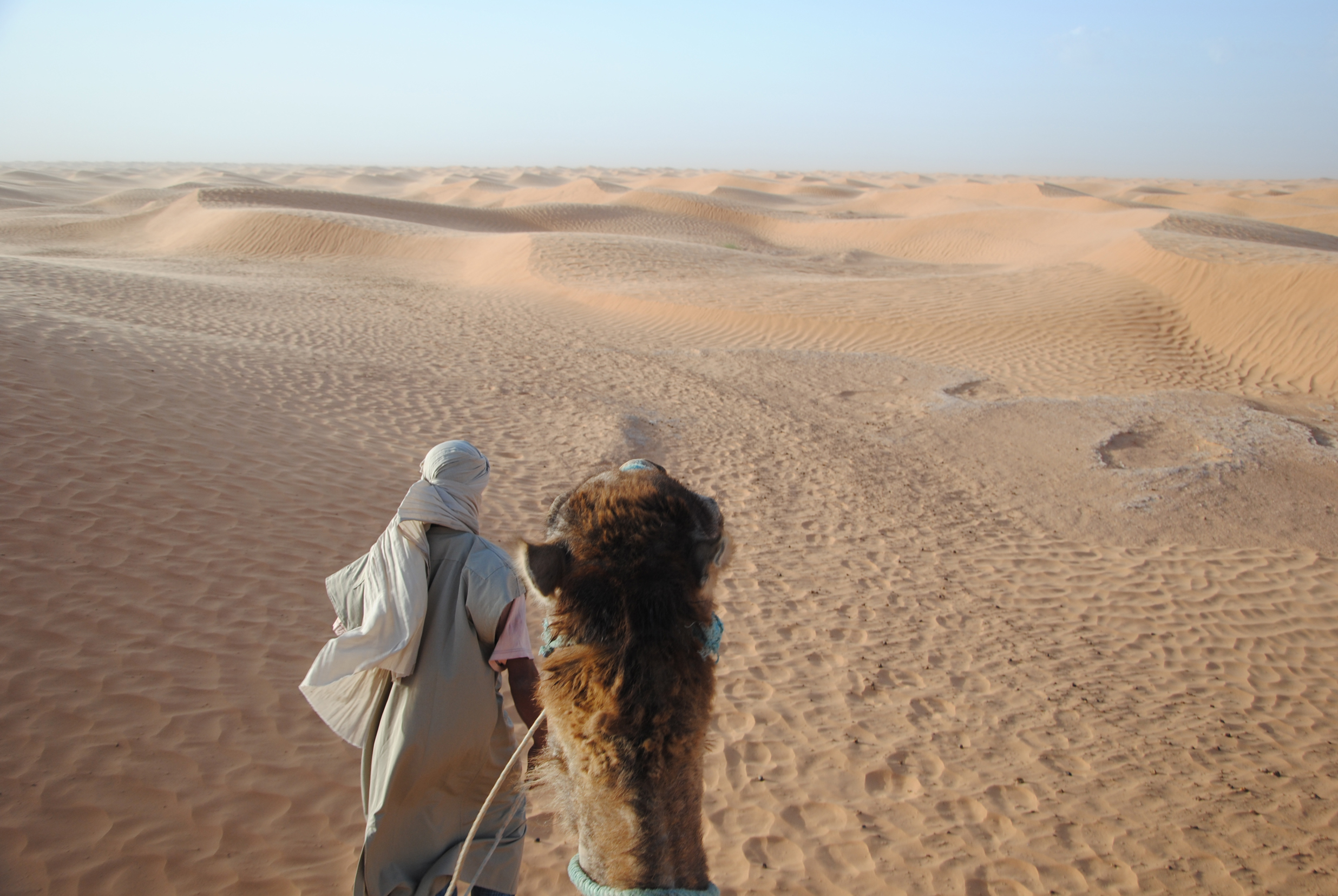 Bedouin Cameleer in the Grand Erg Oriental