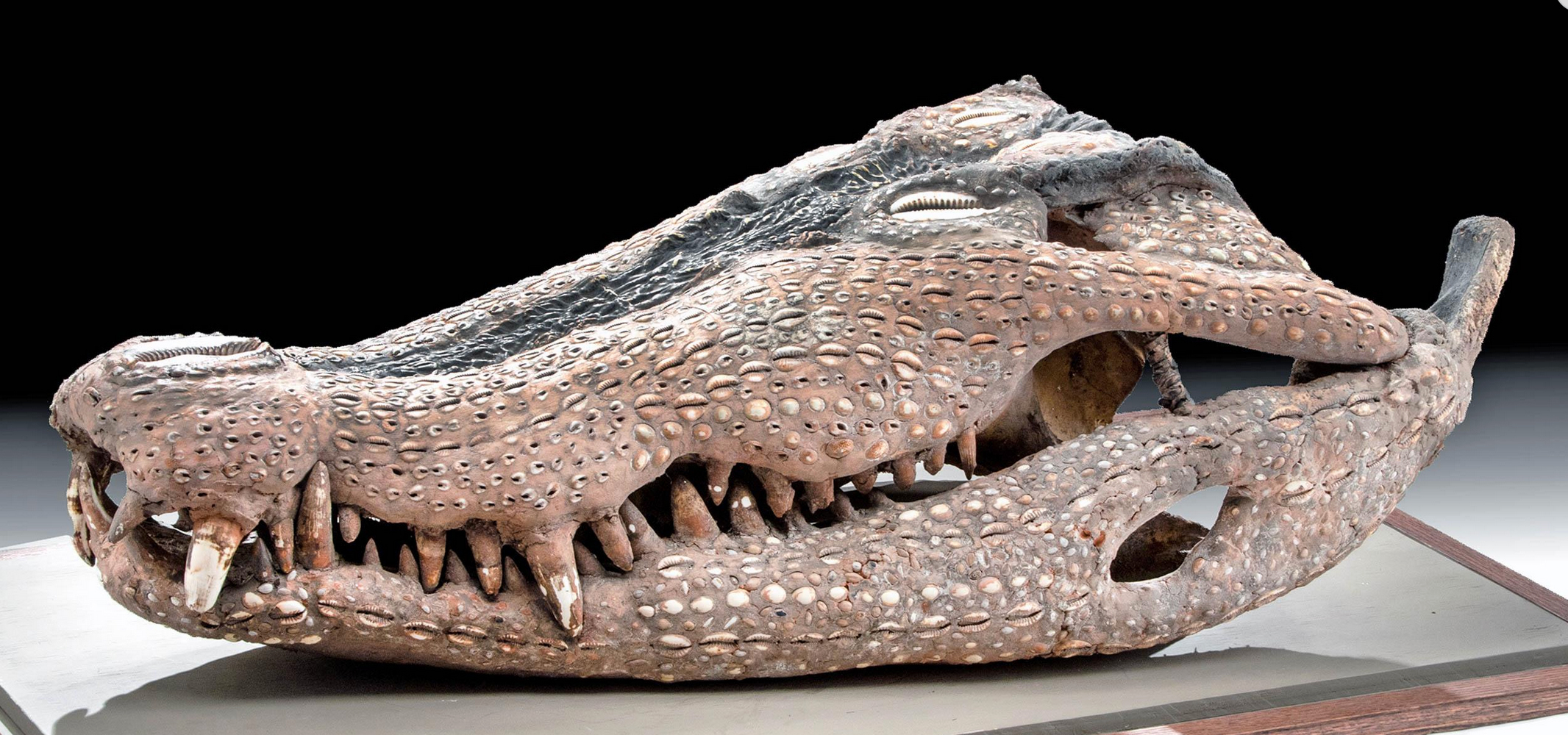 Iatmul overmodeled crocodile skull