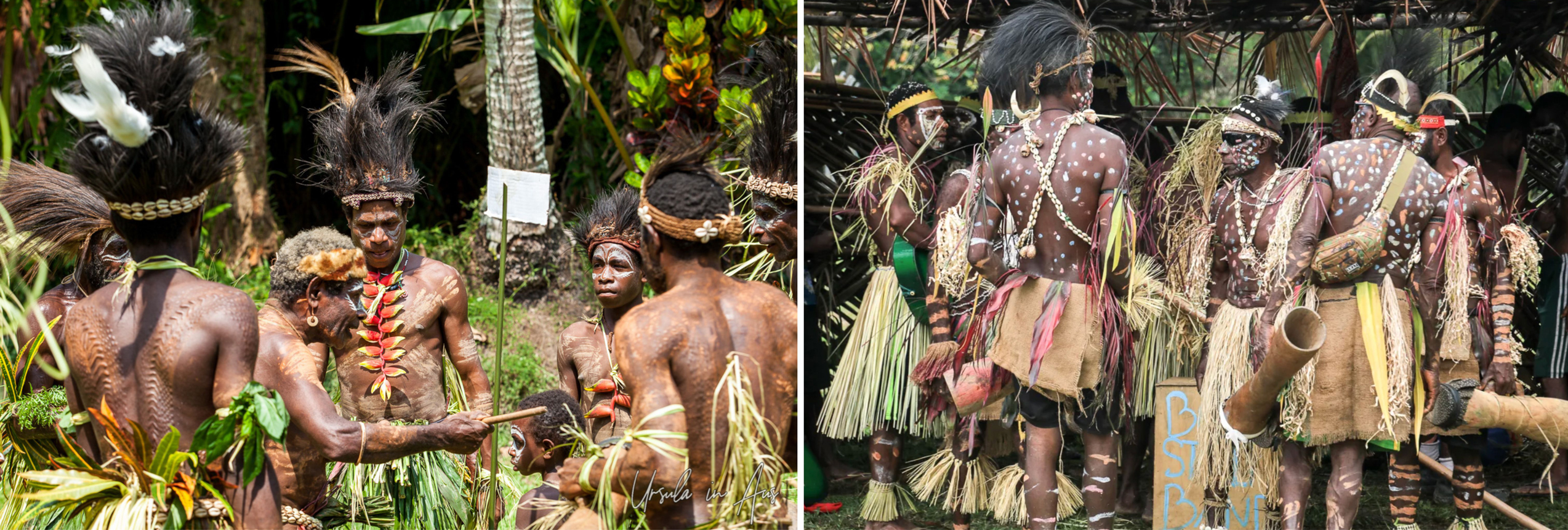 Groups of performers at the Sepik Crocodile Festival. LEFT: At the Sepik River Festival, men with crocodile scarification, wearing crab-claw flower necklaces and feathered headdresses, prepare their dances on the green, 2017. Photo by Ursula Wall. RIGHT: Preparing the sing-sing, 2023. Photo by Ivan Cheng - No Leg Room, Canada. (Thanks Ivan for you kindness!)