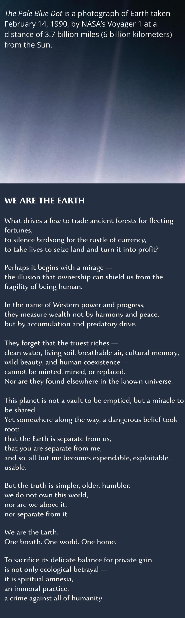 THE PALE BLUE DOT - WE ARE THE EARTH