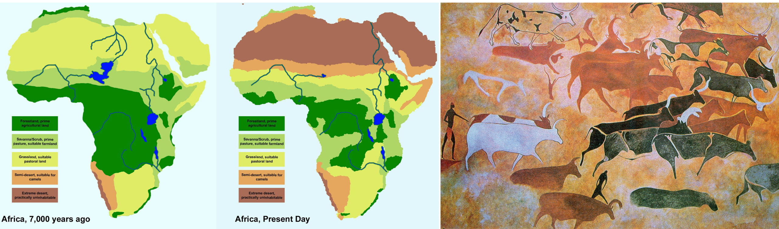 Sahara 7 kya