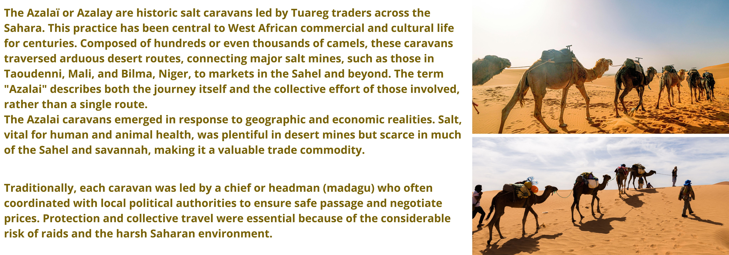 Tuareg Salt Caravans 1