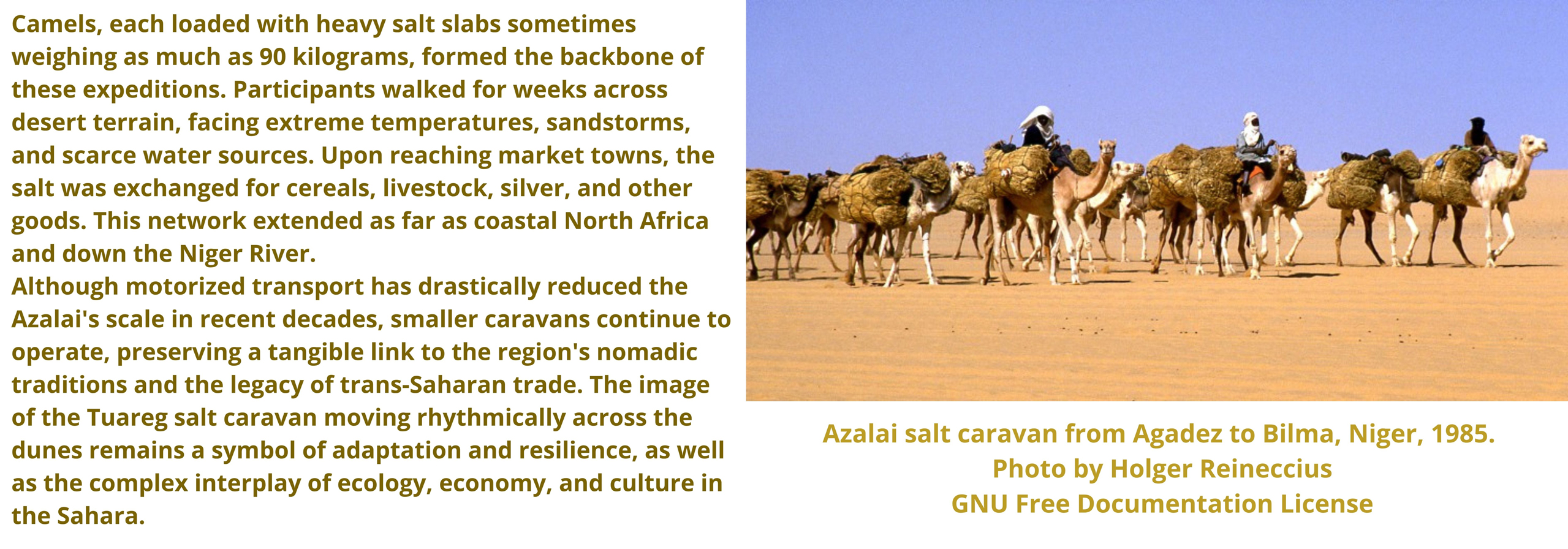 Tuareg Salt Caravans 2