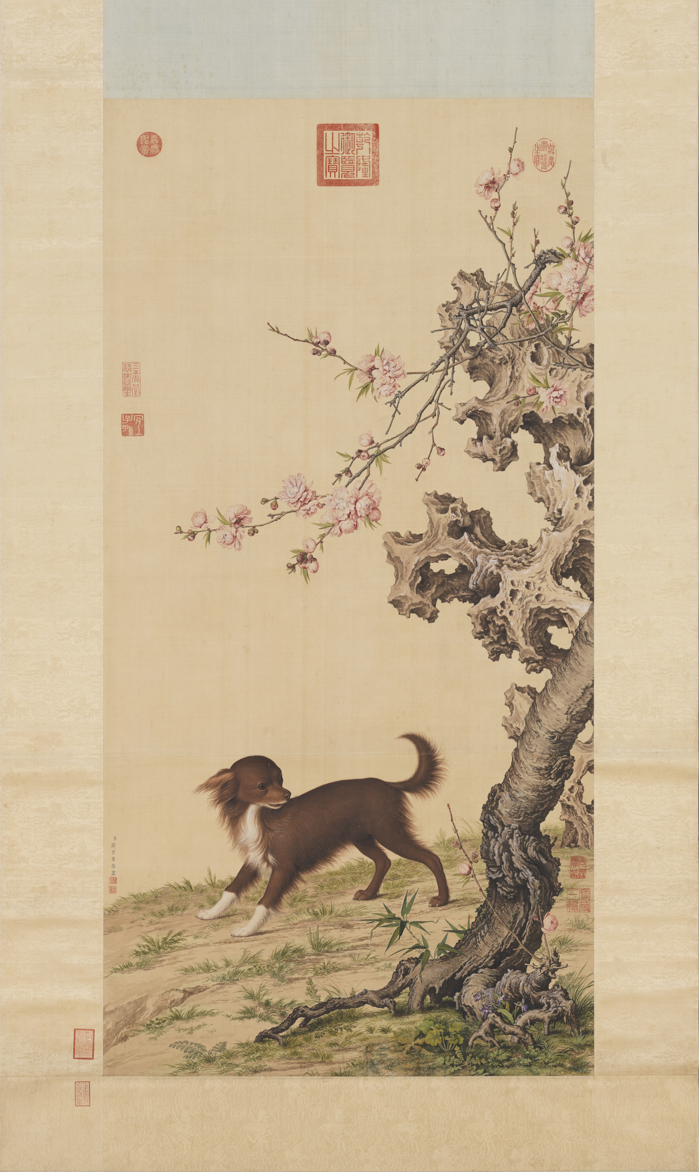 Giuseppe Castiglione, Dog Beneath Blossoming Flowers