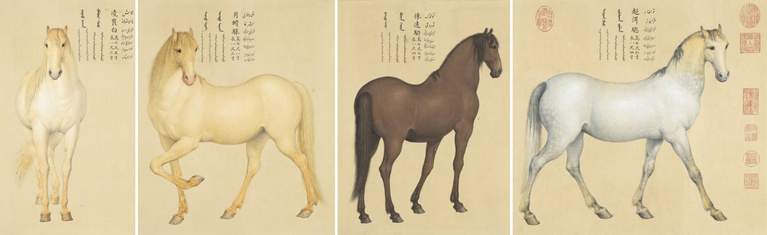 Castiglione, Four Afghan Steeds, details