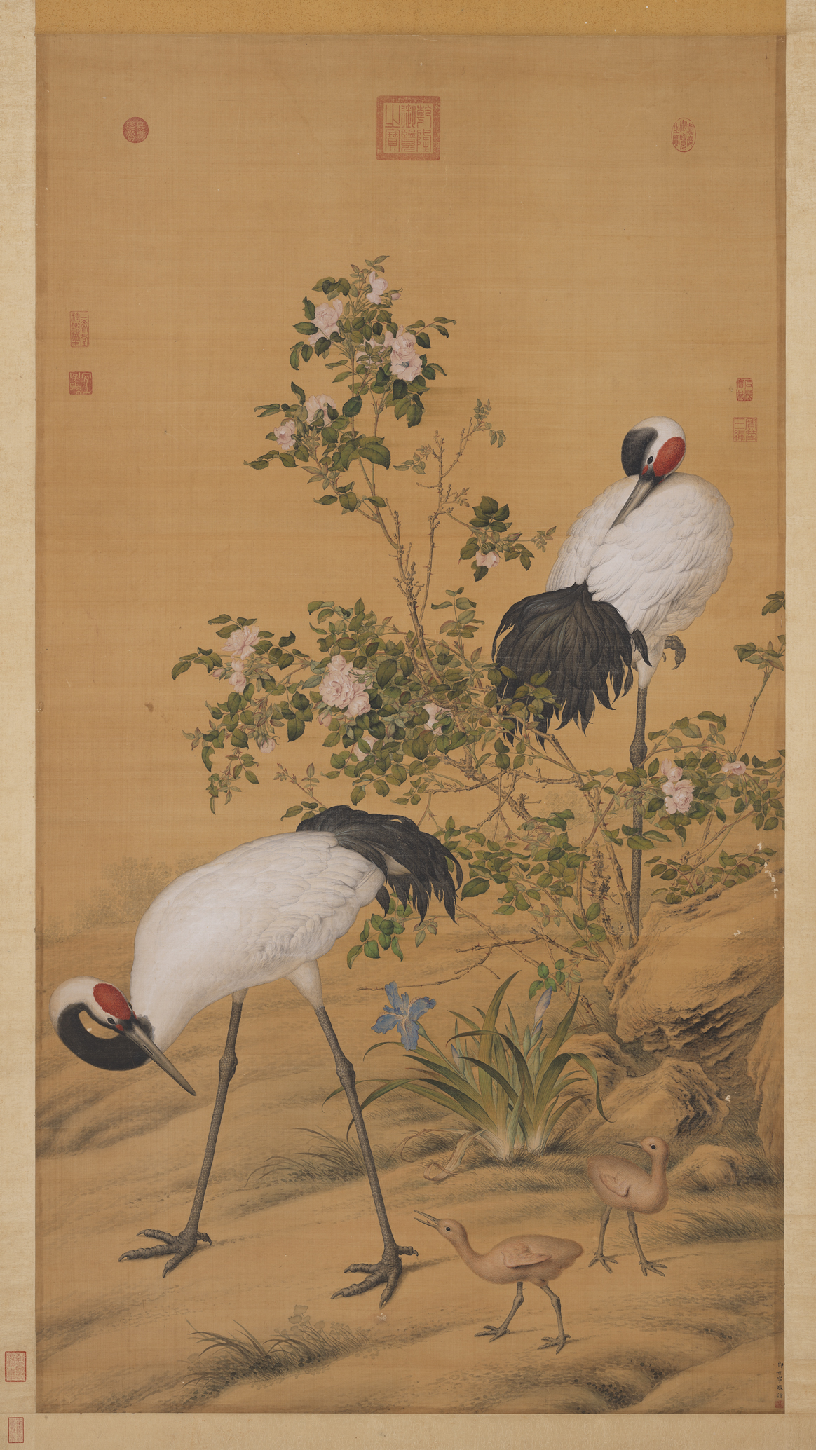 Giuseppe Castiglione, Pair of Cranes in the Shade of Flowers