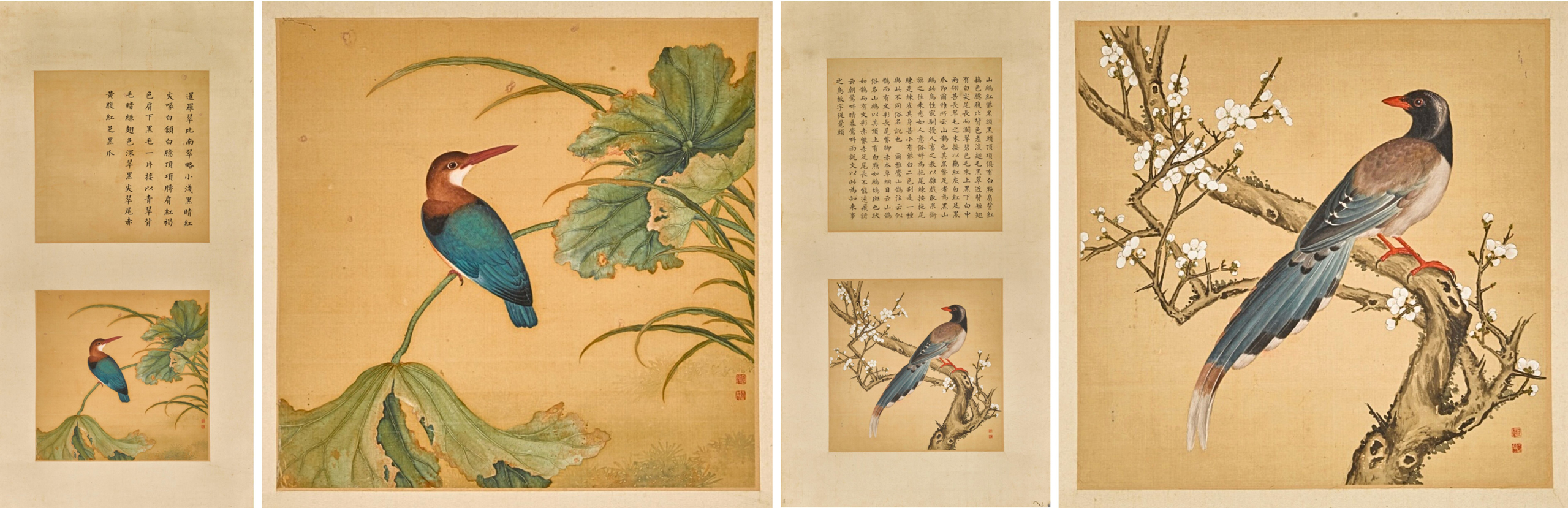 Jiang Tingxi, Birds and Flowers Jiang Tingxi, Birds and Flowers