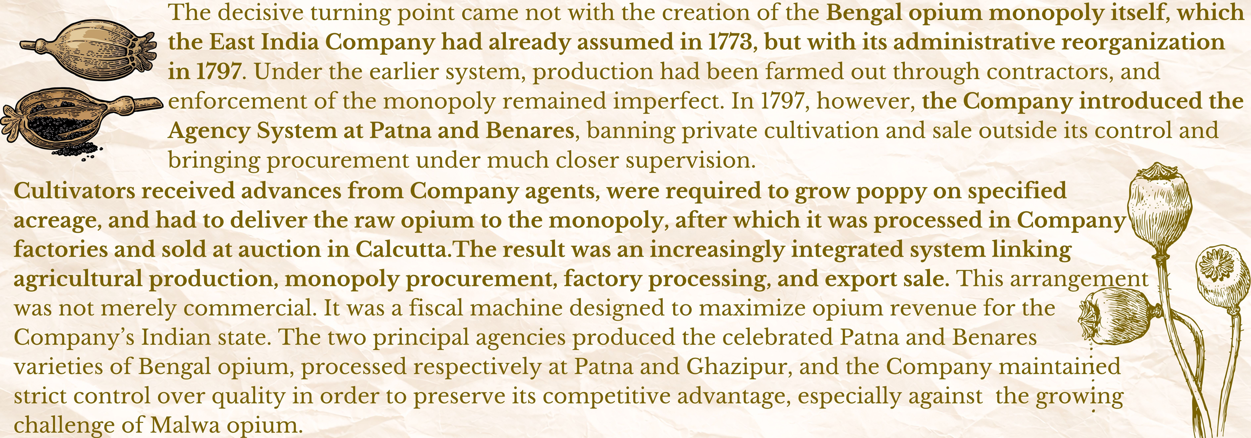 Opium Cultivation Opium Cultivation