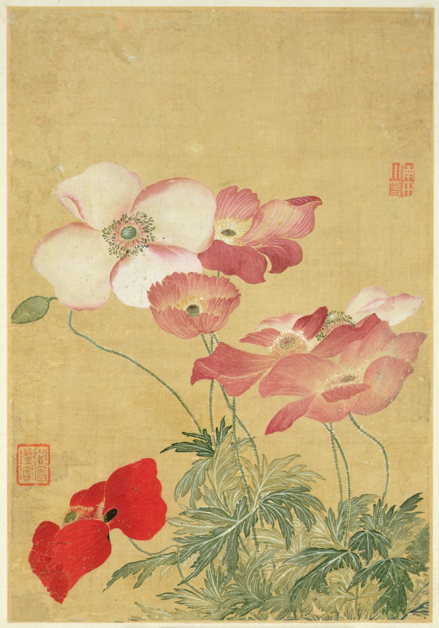 Yun Shouping, Poppies. Medium: Album leaf, ink and colors on paper.
